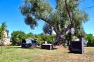 Holiday homeItaly - : holiday home, Carovigno-Villa Sierri-Villa Sierri