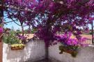 FerienhausItalien - : holiday home, Fanusa-Casa Fanusa