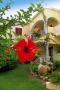 Holiday homeItaly - : Residence Badus, Badesi-Bilo 4