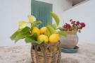 Holiday homeItaly - : Trulli di Mina - Lamia Fresia Locorotondo