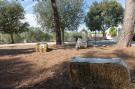 VakantiehuisItalië - : Masseria Carperi - Trullo Suite Cisternino