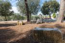 FerienhausItalien - : Masseria Carperi - Trullo Il Focolare Cisternino