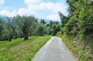 Holiday homeItaly - : holiday home Villa del Pino, Massarosa-Villa del P