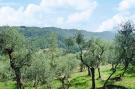 FerienhausItalien - : holiday home Villa del Pino, Massarosa-Villa del P