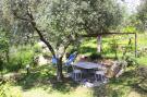 VakantiehuisItalië - : holiday home Villa Fiorita Monteggiori-Villa Fiori