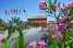 Holiday homeItaly - : Holiday residence Rosa dei Venti, Vada-Trilo 6-pia  [11] 