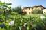 Holiday homeItaly - : Agri-tourism Poggio al Sole Vinci Type Glicine Bia  [3] 