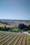 Holiday homeItaly - : Ferienanlage Borgo della Meliana Gambassi Terme Ty