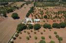 FerienhausItalien - : Magnificent Stefano's Trulli in Locorotondo