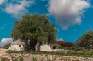 VakantiehuisItalië - : Luxury Trullo Termetrio in Cisternino