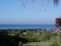 Holiday homeItaly - : 216845