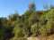 Holiday homeItaly - : 216845  [12] 