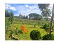 Holiday homeItaly - : 476037