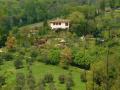 Holiday homeItaly - : 81917