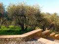 Holiday homeItaly - : 88322