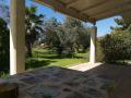 Holiday homeItaly - : 91322