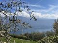 Holiday homeItaly - Lake District: 403921