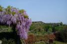 Holiday homeItaly - : Villetta Pastrengo 3