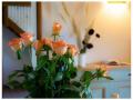 FerienhausItalien - : 405372