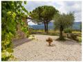 FerienhausItalien - : 429950