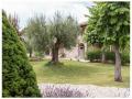 Holiday homeItaly - : 429950