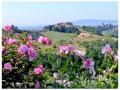 Holiday homeItaly - : 452704