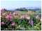 Holiday homeItaly - : 452704  [6] 