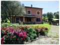 Holiday homeItaly - : 482940