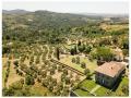 Holiday homeItaly - : 482926