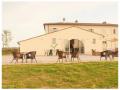 FerienhausItalien - : 482966