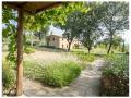 FerienhausItalien - : 482933