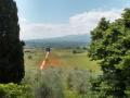 Holiday homeItaly - : 263856