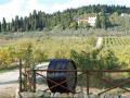 Holiday homeItaly - : 263856