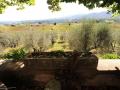 Holiday homeItaly - : 263856