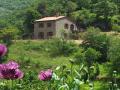 Holiday homeItaly - : 291204