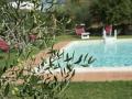 FerienhausItalien - : 208537