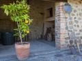 Holiday homeItaly - : 185555