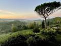 Holiday homeItaly - : 185555