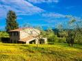 Holiday homeItaly - : 82248