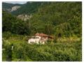 Holiday homeItaly - : 38243