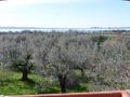 Holiday homeItaly - : 75347