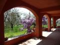 FerienhausItalien - : 75347