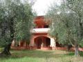 Holiday homeItaly - : 75347