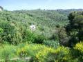 Holiday homeItaly - : 35986