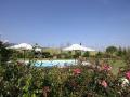 Holiday homeItaly - : 118701