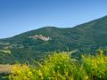 Holiday homeItaly - : 266471