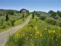 Holiday homeItaly - : 250622