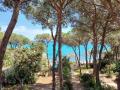 Holiday homeItaly - : 497881