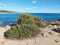 Holiday homeItaly - : 497881  [4] 