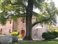 FerienhausItalien - : 79270